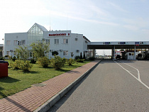 За контрабанду янтаря на 4,8 млн рублей возбуждено уголовное дело