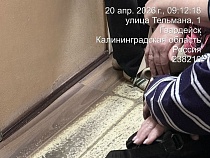 Одни врачи пожаловались Беспрозванных на очереди к другим