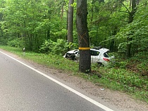 За сутки два водителя не смогли уклониться от удара машин об деревья