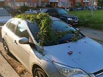 В Балтийске машину изукрасили арбузными дольками и цветами с клумбы