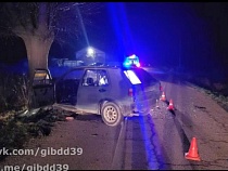 В Зеленоградске угробившего отца водителя изъяли из общества