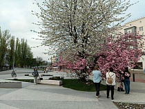 Калининград обогнал Сочи по ценам на майские праздники