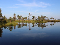 «Слово о болотах» произнесут в Калининградском областном историко-художественном музее
