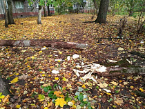 В Калининградской области отменили штормовое предупреждение о сильном ветре