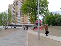 На Летнем озере в Калининграде создадут чудесный сиреневый сквер