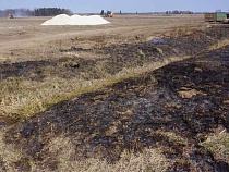В Калининградской области мясная компания переборщила с химией