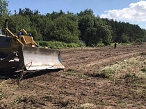 «Цветёт нетронутый»: Алиханов лично возглавил борьбу с борщевиком  