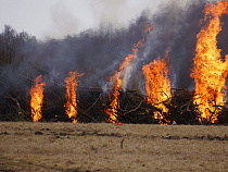 Нацпарк «Куршская коса» отработал технику тушения пожаров
