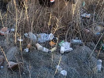 У моря в Калининградской области кучно отбомбились мусором туристы