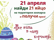 Калининградский зоопарк объявил весеннюю охоту на яйца