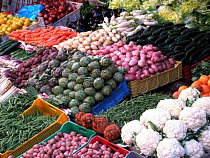 Калининградская область вернула свыше 19 т овощей в Нидерланды