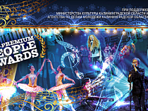 В Калининграде пройдет отборочный тур «Art-Premium People Awards»