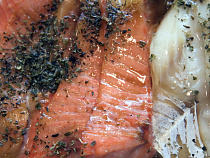 Калининградская таможня ликвидировала 100 кг польской сёмги