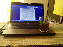 Эксперты назвали 10 вакансий с самыми высокими зарплатами в Калининграде