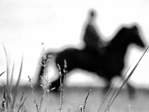 Украинская кавалерия попыталась прорваться в Беларусь