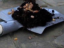 Спортсмены, вымогавшие деньги у ловцов янтаря, предстанут перед судом