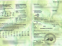 На польской границе вновь поймали двух калининградцев с фальшивыми литовскими «зелёными картами»