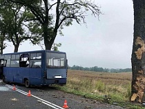 В ГИБДД уточнили число пострадавших в автобусе под Правдинском