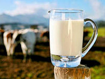 Украинское молоко в России запретят с 28 июля