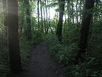 Школьные лесничества Калининграда отметили на федеральном уровне