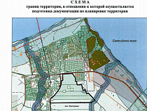 Заказчиком планировки территории Заостровья назначена врач-косметолог?
