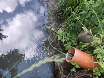 В аэропорту Калининграда сточную воду просто сливали в реку