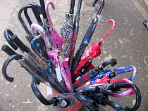 В первые дни марта синоптики обещают в Калининграде дожди и до +9 градусов