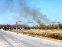 В Калининграде в пылающем камыше женщину настигла страшная смерть