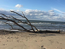 Моряк целый год платил дань, но так и не ушёл в море 