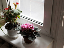 Житель Калининграда «поселил» в своей квартире 8 иностранцев