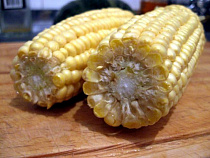 В Полесском районе у фермера украли почти 900 початков кукурузы