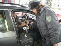 Из Калининградской области продолжают массово вывозить собак и кошек 