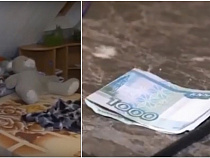 Полицейские показали подробности жизни борделя (видео)