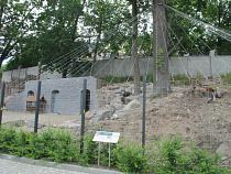 С новосельем: в Калининградском зоопарке после длительной реконструкции открылся ряд новых уникальных вольеров для копытных животных