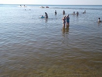 Синоптики прогнозируют в Калининградской области похолодание и дожди