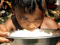 Индия готовит крупнейшую соцпрограмму в мире, собирается бесплатно кормить 800 млн. жителей