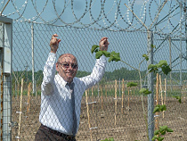 Вице-губернатором Севастополя назначен бывший спикер Калининградской областной Думы