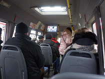 В Калининграде маршрутки начнут возить льготников по социальным проездным билетам