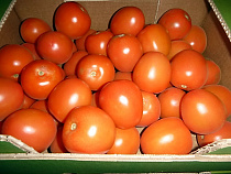 На границе с Калининградской областью задержали более трех тонн лимонов и томатов