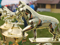 Служебные собаки нашли в тайниках 1 250 пачек сигарет и 6 кг янтаря 