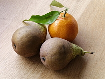 В Калининграде продавец за месяц украла продукты на 10 тыс. рублей