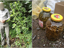 Полицейские нашли консервы из конопли (фото)