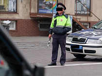 ГИБДД проведет в Зеленоградском районе профилактическое мероприятие «Щит»