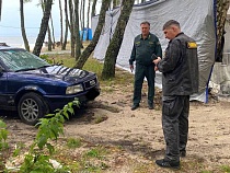 В Куликово не стали штрафовать паркующихся в лесу водителей