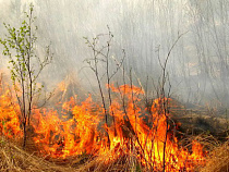 Пожары: в Калининградской области с начала года сотрудники МЧС 1000 раз выезжали на тушение палов травы