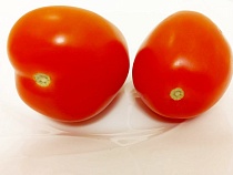 Калининградской области к Новому году навалили тонны больных помидоров