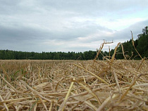 Житель поселка Веселовка задолжал по земельному налогу 52 тысячи рублей