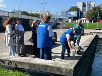 На воде в центре Калининграда начинается пугающее