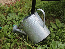 Ранее судимый парень избил родного дядю лейкой до серьезных травм