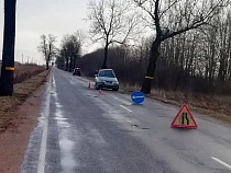 Под Гусевом 45-летняя водитель врезалась в дерево (видео)